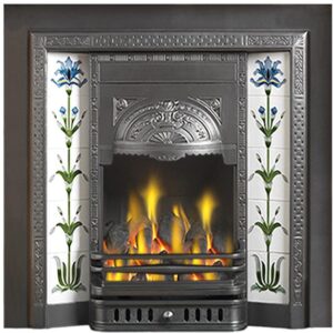 Aston Cast Iron Insert