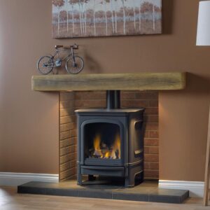 Vega Gas Stove